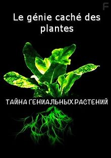 Тайна гениальных растений