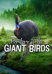 Тайна гигантских птиц