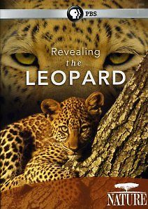 Тайная жизнь леопарда