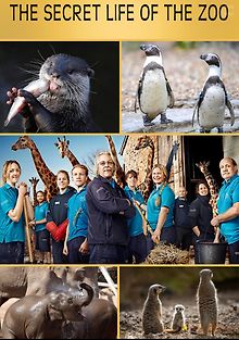 Тайная жизнь зоопарка
