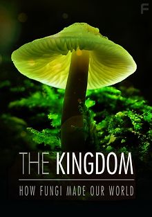 Тайное царство: Грибы, определившие наш мир