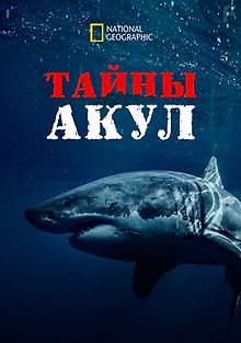 Тайны акул