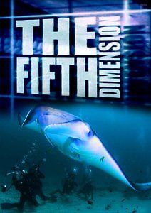 Тайны, что скрывает океан. Океан глазами рыб