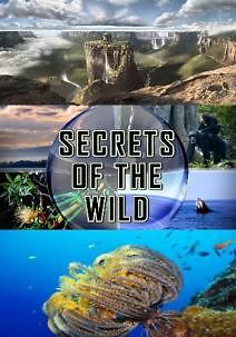 Тайны дикой природы