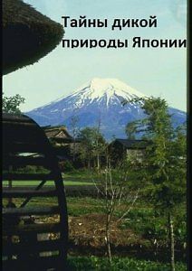 Тайны дикой природы Японии