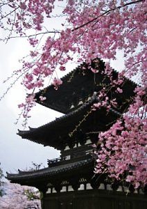 Тайны дикой природы Японии