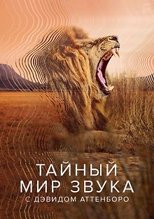 Тайный мир звука с Дэвидом Аттенборо