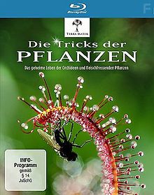 Тёмная сторона растений