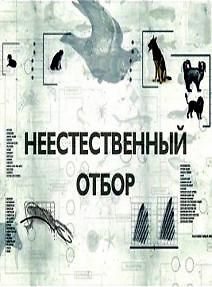 ТерраМатер