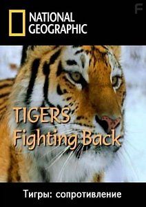 Тигры: сопротивление