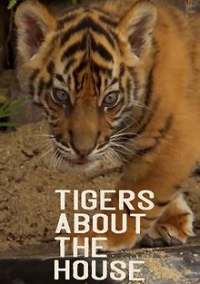 Тигры в доме