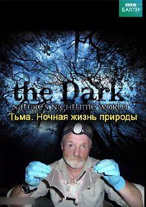 Тьма. Ночная жизнь природы