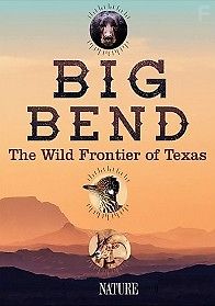 Торжество дикой природы. Национальный парк Биг Бенд