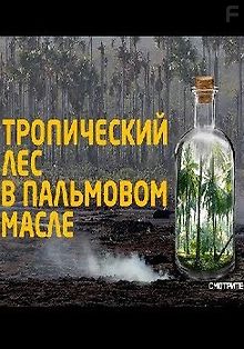 Тропический лес в пальмовом масле