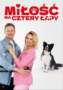 У любви четыре лапы