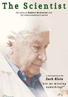 Учёный: Мы что-то упускаем?