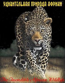 Удивительная природа Африки