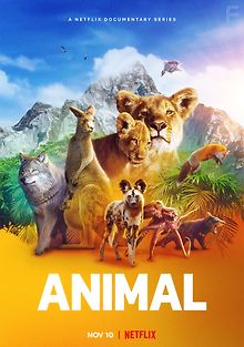 Удивительные животные