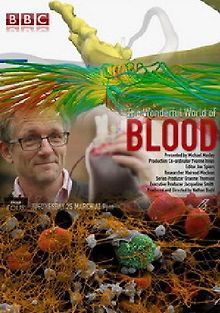 Удивительный мир крови