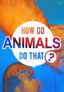 Удивительный мир животных