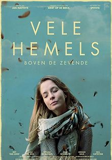 В бесконечных небесах