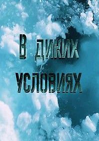 В диких условиях