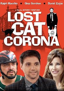 В Короне пропал кот