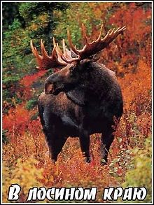 В лосином краю