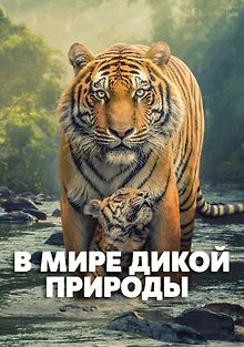 В мире дикой природы