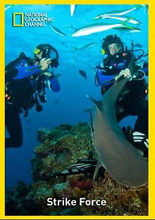 В опасных водах Австралии. Обед для акул