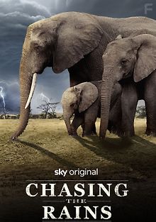 В погоне за дождями