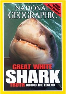 В поисках акул. Самые большие челюсти. Экспедиция - Белая акула