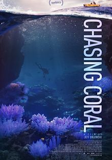 В поисках кораллов