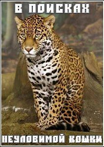 В поисках неуловимой кошки
