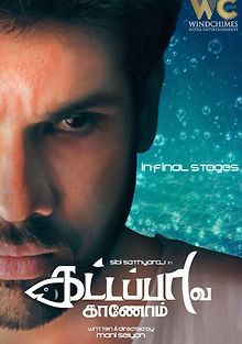 В поисках золотой рыбки