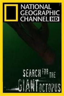 В Поисках Гигантского Осьминога