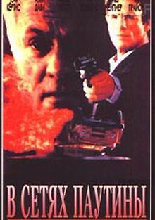 В сетях паутины