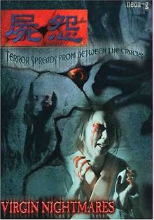 Ведьмы - ниндзя 10