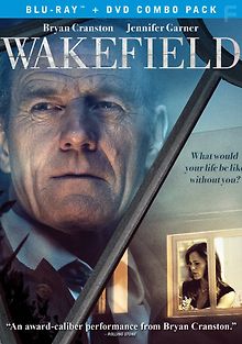 Во всем виноват енот