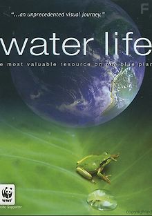 Водная жизнь