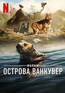 Волки острова Ванкувер