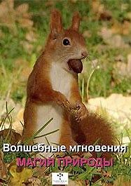 Волшебные мгновения. Магия природы