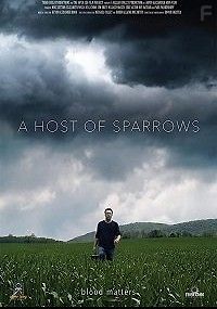 Воробьиное воинство