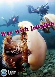 Война с медузами