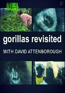 Возвращение к гориллам с Д.Аттенборо