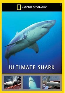 Всё об акулах