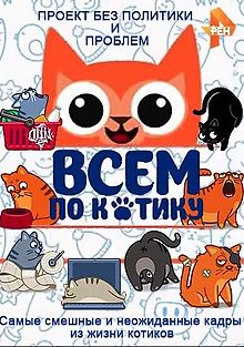 Всем по котику