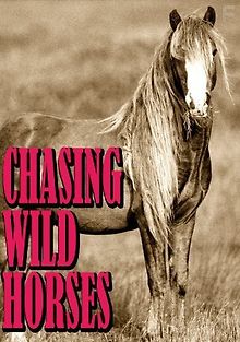 Вслед за дикими лошадьми