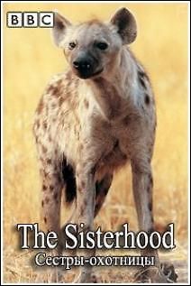 ВВС. Мир природы. Сестры охотницы