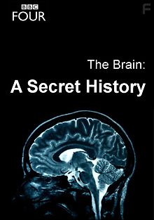 ВВС: Мозг. Тайны сознания